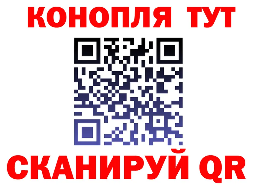 АМФ Premium маркетплейс мориарти omg Богородск